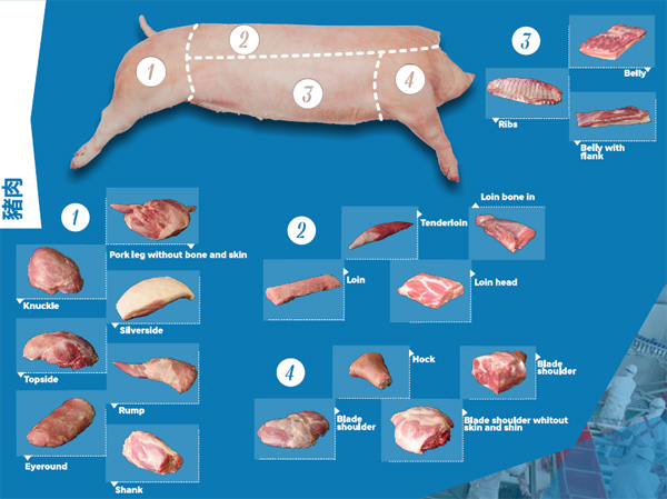 哥伦比亚冷冻猪肉